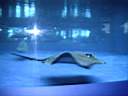 US_NYC_Sea_Aquarium002.jpg
