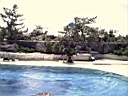 US_NYC_Sea_Aquarium005.jpg