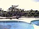 US_NYC_Sea_Aquarium006.jpg