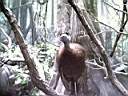 US_NYC_Bronx_Zoo001.jpg