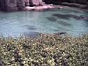 US_NYC_Bronx_Zoo003.jpg