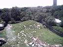 US_NYC_Bronx_Zoo005.jpg