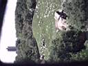 US_NYC_Bronx_Zoo006.jpg