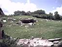 US_NYC_Bronx_Zoo008.jpg