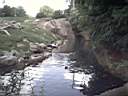 US_NYC_Bronx_Zoo009.jpg
