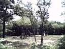 US_NYC_Bronx_Zoo010.jpg