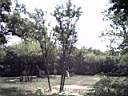US_NYC_Bronx_Zoo011.jpg