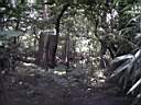 US_NYC_Bronx_Zoo012.jpg