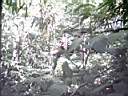 US_NYC_Bronx_Zoo013.jpg