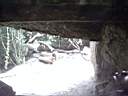 US_NYC_Bronx_Zoo014.jpg