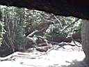 US_NYC_Bronx_Zoo015.jpg
