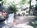 US_NYC_Bronx_Zoo020.jpg