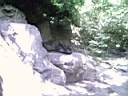 US_NYC_Bronx_Zoo022.jpg