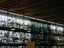 DE_Summer_2000_051.JPG