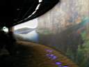 DE_Summer_2000_060.JPG